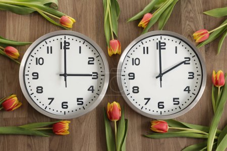 Für Leser von rechts nach links: Zwei Uhren, eine zeigt zwei Uhr, die andere drei Uhr. Tulpen liegen herum. Symbol für die Zeitumstellung. Sommerzeit. Die Hände im Frühling von 2 bis 3 Uhr vorwärts bewegen.