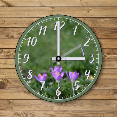 Die Uhr zeigt, dass sich der Zeiger von 2 Uhr im Winter auf 3 Uhr im Frühling vorwärts bewegt. Sommerzeit. Die Zeitumstellung, die Zeitumstellung, die Umstellung auf die Sommerzeit. Auf einer Holzwand.