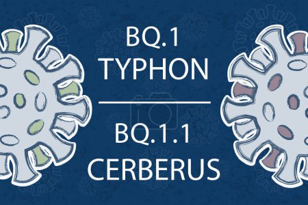 Illustration for New subvariants of Omicron Thyphon BQ.1 and Cerberus BQ1.1. White text on dark blue background. Different colors of the spike proteins of Coronavirus symbolize different mutations. - Royalty Free Image