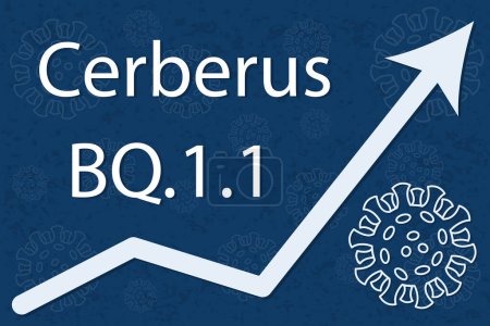 Illustration for A new coronavirus variant BQ.1.1, sublineage of Omicron BA.5.  Nickname Cerberus. The arrow shows a dramatic increase in disease. White text on dark blue background with images of coronavirus. BA.5.3.1.1.1.1.1.1 or B.1.1.529.5.3.1.1.1.1.1.1. - Royalty Free Image