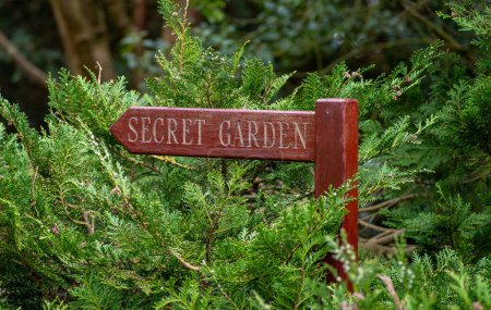 Un panneau en forme de flèche en bois pour le jardin secret dans des branches toujours vertes.