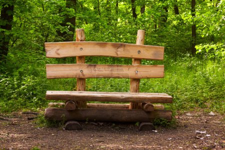 Photo for Wooden bench with backrest in a forest. Spring season. Green vegetation around. - Royalty Free Image