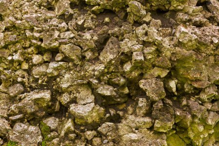 Photo for The texture of rough stone covered with moss. Outdoors. - Royalty Free Image
