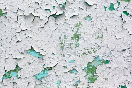 Photo for Texture very old painted wall. Paint flakes disappears. Cracked paint layer. - Royalty Free Image