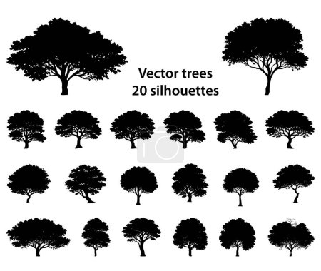 Photo for Collection of vector detailed hand drawn trees silhouettes for design - Royalty Free Image