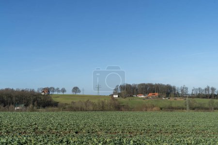 Paysage rural avec un champ de chou et une ferme en arrière-plan
