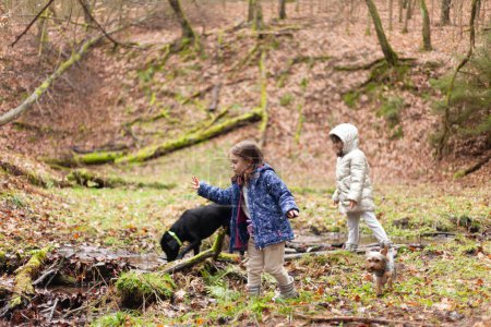 Téléchargez les photos : Deux petits enfants, garçon et fille, jouant avec le chien dans la forêt - en image libre de droit