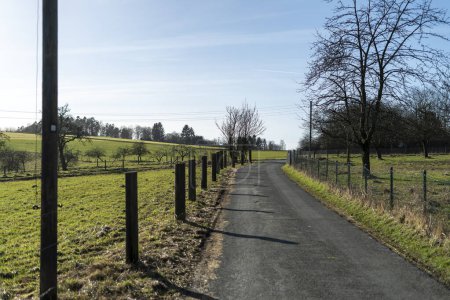 Carretera rural en primavera con árboles y cielo azul de fondo