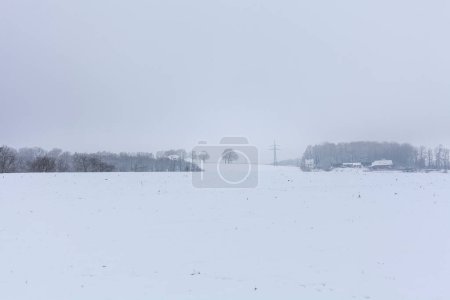 Nebelige Winterlandschaft mit schneebedeckten Feldern, Bäumen und Häusern