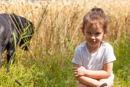 Una niña se sienta a gimotear en un campo de trigo con su perro. Azufre Labrador con correa de su dueño