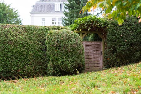 Wooden entrance to the garden with a hedge in the foreground.