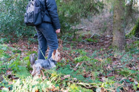 Mujer caminando con yorkshire terrier dog en el bosque en otoño