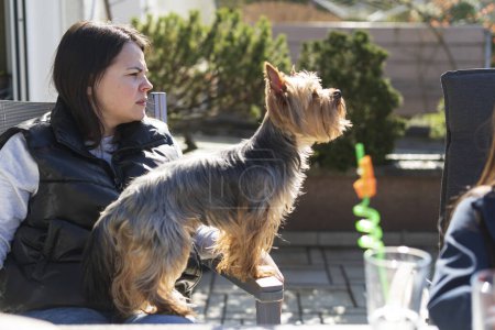 eine junge schöne Yorkshire Terrier steht auf einem Stuhl im Vordergrund seiner schönen Besitzerin auf der Terrasse ihres Hauses