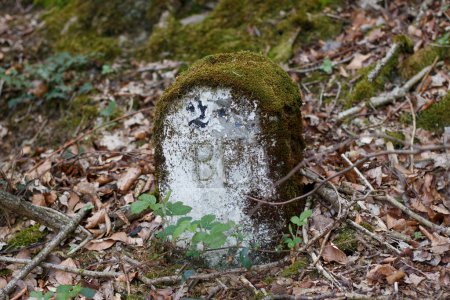Ein unverständlicher uralter Stein mit Moos und Buchstaben im Wald auf dem Weg