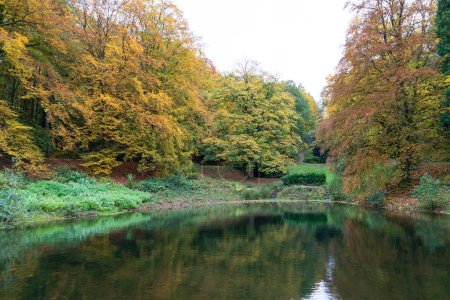 Autumn landscape with lake and colorful trees in the city park.