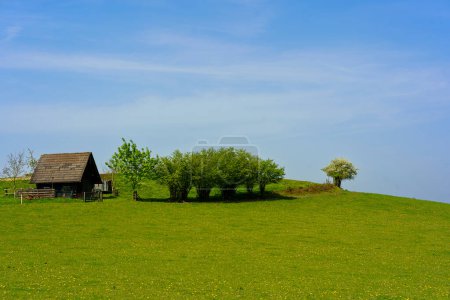 Einsames Haus auf einer grünen Wiese mit Bäumen und blauem Himmel