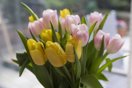 A bouquet of multi-colored tulips on the table. The concept of spring joy, celebration and freshness