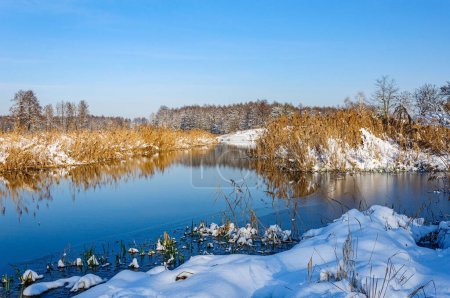 Téléchargez les photos : La rivière Zdvij n'a pas encore gelé en hiver. Ukraine - en image libre de droit