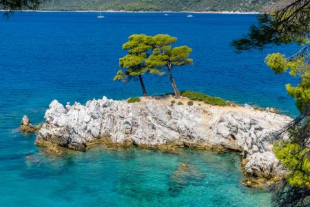 Téléchargez les photos : The famous turquoise Amarantos cape beach with the three Pine Trees well known from the famous Mamma Mia musical movie, located in Skopelos island, Sporades, Greece - en image libre de droit