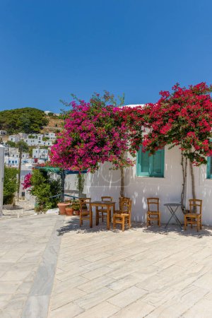 Photo for Traditional Cycladitic alley with a narrow street, whitewashed houses and a blooming bougainvillea in lefkes village, Paros island, Greece. - Royalty Free Image