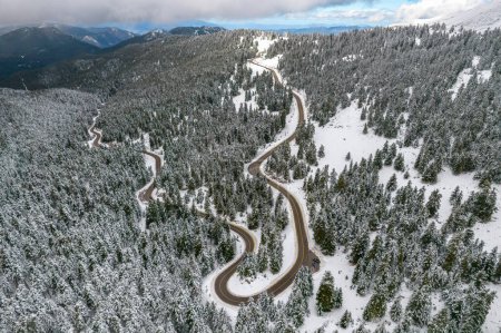 Photo for Aerial top down aerial view of a curving road crossing the slopes of Mount Parnassos with snow covering the fir trees and cars crossing the snow free road - Royalty Free Image