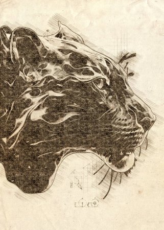 Téléchargez les photos : Illustration numérique ou peinture d'un jaguar en styl croquis - en image libre de droit