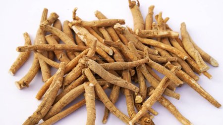 Photo for Ashwagandha Dry Root Medicinal Herb with Fresh Leaves, also known as Withania Somnifera, Ashwagandha, Indian Ginseng, Poison Gooseberry, or Winter Cherry. - Royalty Free Image