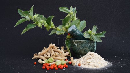 Foto de Hierba medicinal de raíz seca de Ashwagandha con hojas frescas, también conocida como Withania Somnifera, Ashwagandha, Ginseng indio, grosella venenosa o cereza de invierno. - Imagen libre de derechos