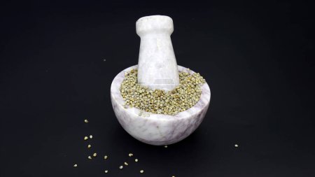 Foto de Las semillas de mijo perlado también se conocen como Bajra, Bajri, Bulrush Millet o Indian Millet. Una dieta saludable, altamente nutritiva, saludable y alta en fibra de grano bajra - Imagen libre de derechos
