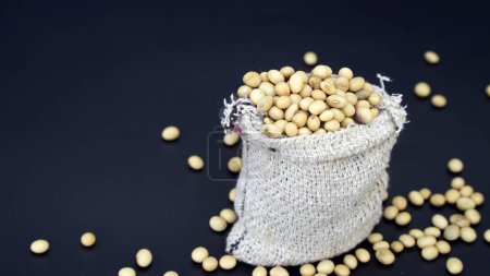 Foto de Montón plano de soja seca. Se utiliza para proteínas animales para vegetarianos. Glicina max - Imagen libre de derechos