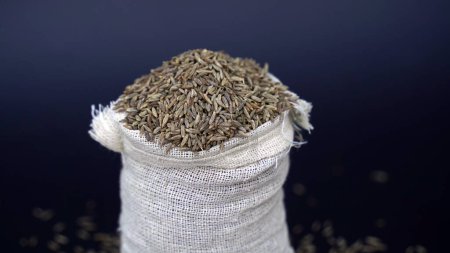 Photo for Caraway Seed Pile Top View known as Meridian Fennel and Persian Cumin, Carum Carvi - Royalty Free Image