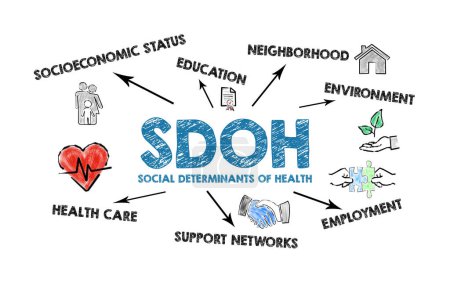 SDOH Determinantes Sociales de la Salud. Ilustración con iconos, flechas y palabras clave sobre un fondo blanco.