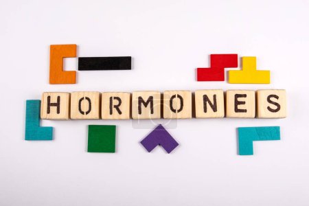 Photo for HORMONES Concept. Alphabet blocks and colorful wooden blocks on a white background. - Royalty Free Image