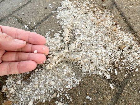 Salt on the street, used to melt snow, peace of salt in the hand.