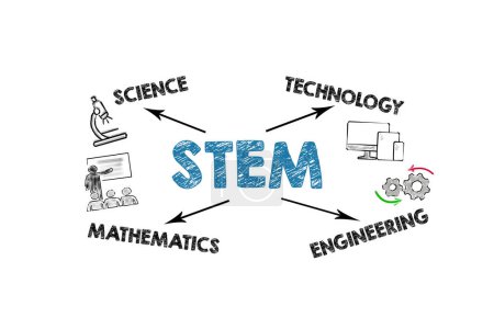 Photo for STEM. Science Technology Engineering Mathematics Concept. Illustration with icons. Chart on a white background. - Royalty Free Image