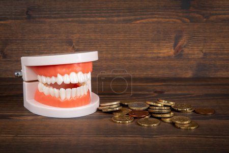 Téléchargez les photos : Modèle de dents et argent sur un fond de texture de bois. Santé et bien-être. - en image libre de droit