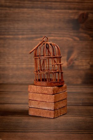 Jaula oxidada para pájaros sobre fondo de textura de madera. Cautiverio, prisión y el concepto de represión.