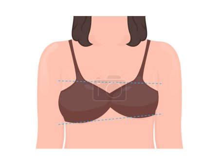 Téléchargez les illustrations : Illustration vectorielle asymétrique du sein femme - en licence libre de droit