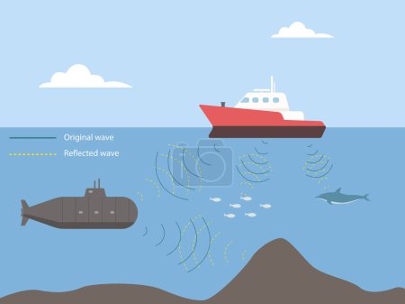Illustration for Bio sonar sound detect object locate. echo radar ocean system - Royalty Free Image