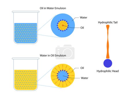 Ilustración de Mezcla de dos líquidos inmiscibles en tubos, aceite de emulsión en agua y agua en aceite - Imagen libre de derechos