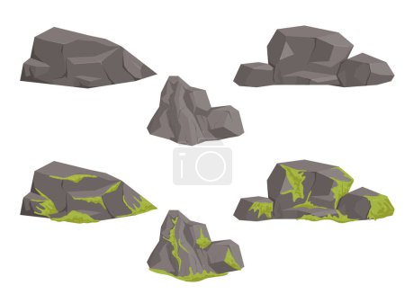les plantes de mousse de jungle poussent sur des roches grises, le lichen rampant vert se glisse sur des pierres