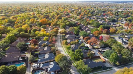 Quiet residential street situated between upscale single family homes with swimming pool and colorful fall foliage suburbs Dallas, Texas, US. Aerial established neighborhood with large fenced backyard