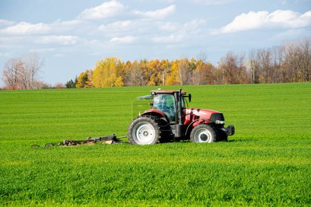 Foto de Primer plano tractor de granja más grande con remolque cortador rotatorio en campo de pradera de tierras de cultivo, follaje de otoño colorido, cielo azul nube South Lockport, Condado de Niagara, norte del estado de Nueva York, EE.UU.. Agricultura industrial - Imagen libre de derechos