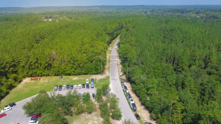 Photo for Lush green floodplain and uplands bald cypress trees with roadside parking cars along the entrance to Morrison Springs County Park in Walton County, Florida. Aerial view forest woodlands horizontal - Royalty Free Image