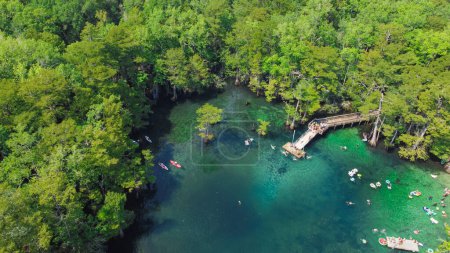 Arbre vert luxuriant cyprès chauve entourant l'eau turquoise Morrison Springs County Park dans le comté de Walton, Floride, États-Unis Les gens aiment le kayak, la rivière flottant, sautant du pont. Vue aérienne extérieure