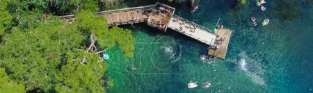 Foto de Panorama ver a la gente saltando de la cubierta a la magnitud de agua azul turquesa de Morrison Springs County Park en el Condado de Walton, Florida, EE.UU. con kayak, actividades de natación. Árbol de ciprés calvo aéreo - Imagen libre de derechos