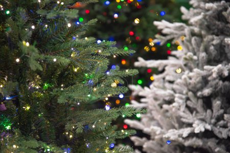 Téléchargez les photos : Arbre de Noël artificiel blanc givré coloré et sempervirent exposé, lumières chaudes de micro fée LED éclairage magnifique, pointes ornées de pommes de pin, paillettes, fond bokeh coloré. Décor de Noël - en image libre de droit