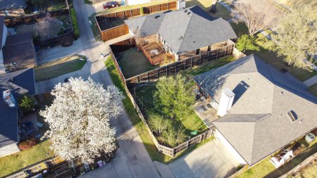 Aerial view roof shingles of suburban residential houses, backyard garden with wooden fence and front yard blossom white flower of Bradford pear, Pyrus calleryana, Callery in Dallas, Texas. USA