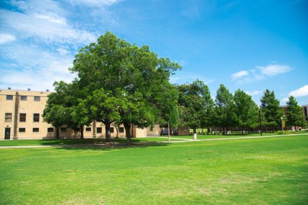 Grassy campus quad courtyard with several historic buildings in background, large meadow front yard college green space under sunny summer cloud blue sky in Texas, education, landscaping concept. USA