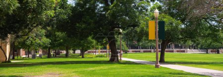 Panorama view walkway under canopy tree, light pole banners and student walking, historic buildings large college campus in Waco, Texas, grassy lawn quad courtyard, ample green space, education. USA